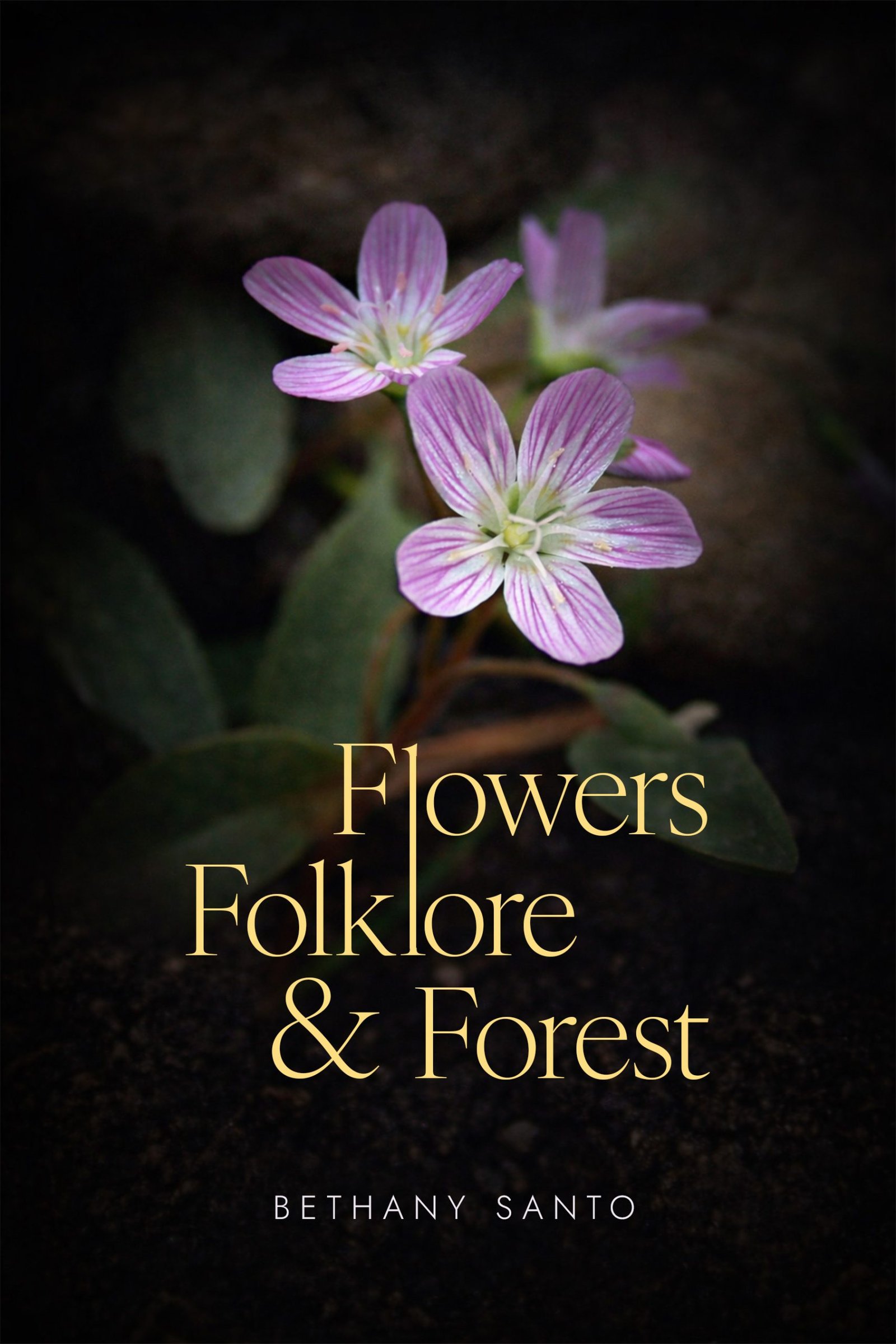 Flowers Folklore & Forest Front